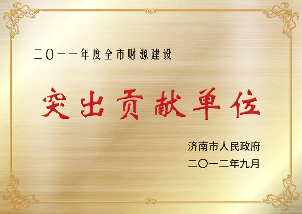 Organization of Outstanding Contributions