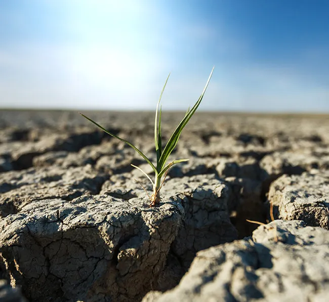 Climate Change Response