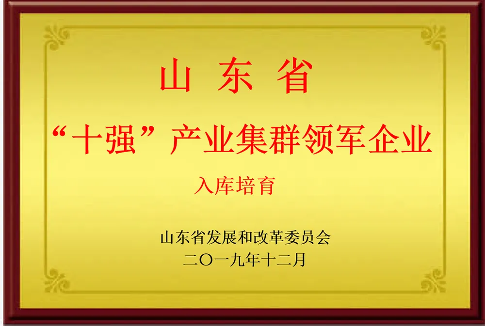 山东省“十强”产业集群领军企业